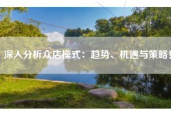 深入分析众店模式：趋势、机遇与策略！