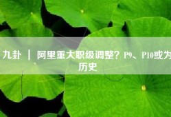 九卦 ｜ 阿里重大职级调整？P9、P10或为历史
