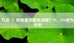 九卦 ｜ 阿里重大职级调整？P9、P10或为历史