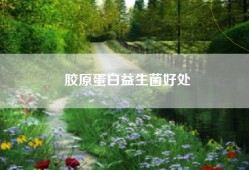 胶原蛋白益生菌好处