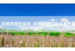 百度的竞价排名_百度的竞价排名是什么方式