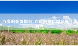 百度的竞价排名_百度的竞价排名是什么方式