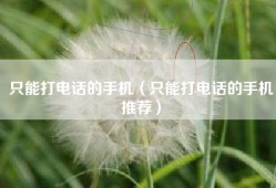 只能打电话的手机（只能打电话的手机推荐）