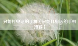 只能打电话的手机（只能打电话的手机推荐）