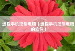 远程手机控制电脑（远程手机控制电脑的软件）