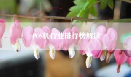 POS机行业排行榜解读