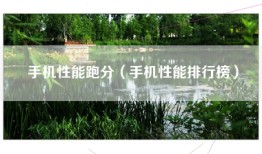 手机性能跑分（手机性能排行榜）