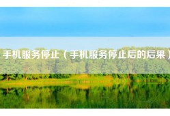 手机服务停止（手机服务停止后的后果）