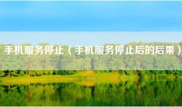 手机服务停止（手机服务停止后的后果）