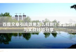百度文章引流效果怎么样啊？全面剖析与实战经验分享