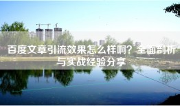百度文章引流效果怎么样啊？全面剖析与实战经验分享