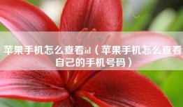 苹果手机怎么查看id（苹果手机怎么查看自己的手机号码）