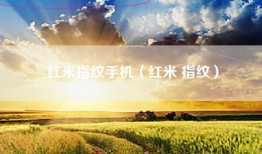 红米指纹手机（红米 指纹）