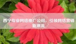 西宁专业网络推广公司，引领网络营销新潮流