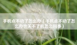 手机点不动了怎么办（手机点不动了怎么办也关不了机怎么回事）