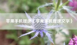 苹果手机提速（苹果手机提速文字）
