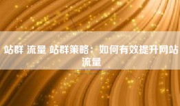 站群 流量 站群策略：如何有效提升网站流量