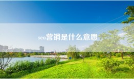 seo营销是什么意思
