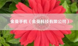 金曼手机（金曼科技有限公司）