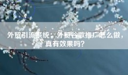 外贸引流系统：外贸谷歌推广怎么做，真有效果吗？