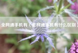 全网通手机有（全网通手机有什么区别）