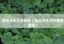 魅族手机怎样截屏（魅族手机如何截屏截图）