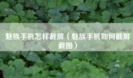 魅族手机怎样截屏（魅族手机如何截屏截图）