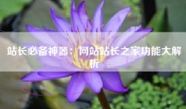 站长必备神器：网站站长之家功能大解析