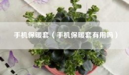 手机保暖套（手机保暖套有用吗）