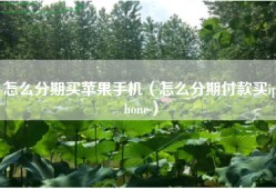 怎么分期买苹果手机（怎么分期付款买iphone）