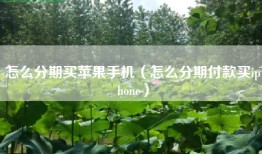 怎么分期买苹果手机（怎么分期付款买iphone）