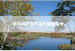 移动纯流量不定向的流量卡