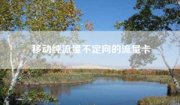 移动纯流量不定向的流量卡