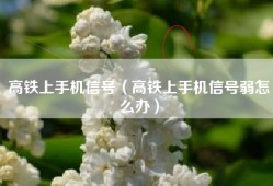 高铁上手机信号（高铁上手机信号弱怎么办）