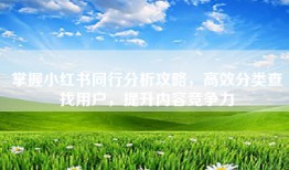 掌握小红书同行分析攻略，高效分类查找用户，提升内容竞争力