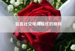盲盒社交电商模式的规则