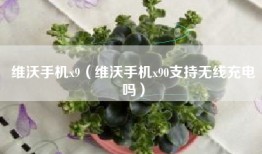 维沃手机x9（维沃手机x90支持无线充电吗）