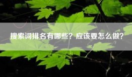 搜索词排名有哪些？应该要怎么做？