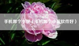 手机哪个小说（手机哪个小说软件好）