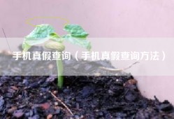 手机真假查询（手机真假查询方法）