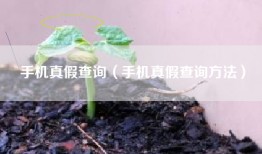 手机真假查询（手机真假查询方法）
