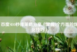 百度SEO秒排策略分享（掌握5个方面的优化技巧）