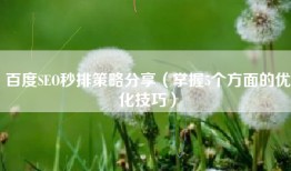 百度SEO秒排策略分享（掌握5个方面的优化技巧）