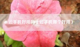 云手机好用吗（云手机哪个好用）