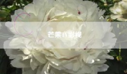 芒果TV影视