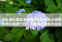 手机钢化膜和水凝膜哪个好手机水凝膜和钢化膜哪个好「手机钢化膜和水凝膜哪个好」