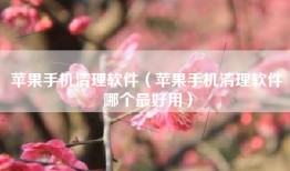 苹果手机清理软件（苹果手机清理软件哪个最好用）