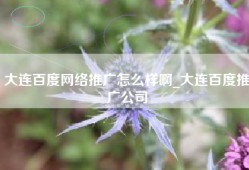 大连百度网络推广怎么样啊_大连百度推广公司