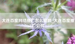 大连百度网络推广怎么样啊_大连百度推广公司