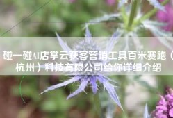 碰一碰AI店掌云获客营销工具百米赛跑（杭州）科技有限公司给你详细介绍
